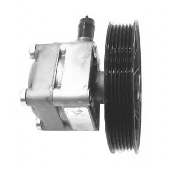 Pompe hydraulique, direction SAMAXX SPW-VV-001