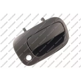 Poignée extérieure de porte PRASCO TY2838303