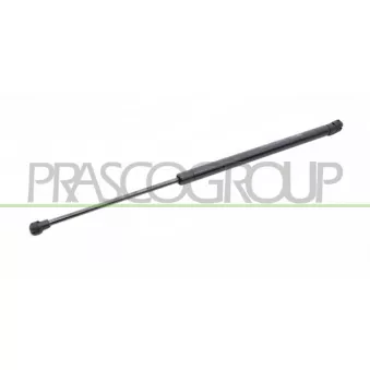 Vérin de hayon, de coffre arrière gauche PRASCO OEM 6895009120
