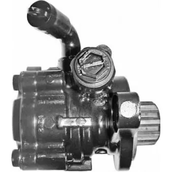 Pompe hydraulique, direction GENERAL RICAMBI PI1318