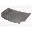 PRASCO VG0213100 - Capot-moteur