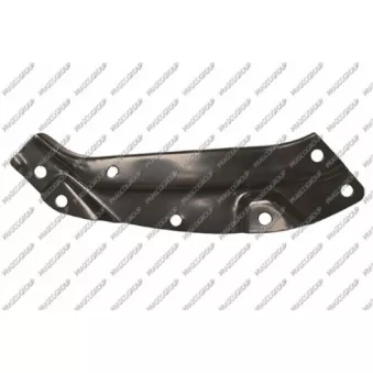 Cuvelage, projecteur principal PRASCO VG0233401