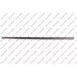 PRASCO VG0341404 - Baguette et bande protectrice, porte avant gauche