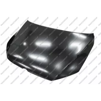 Capot-moteur PRASCO VG0443100