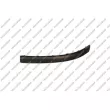 PRASCO VG0521244 - Baguette et bande protectrice, pare-chocs avant gauche