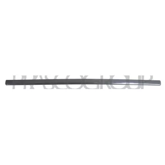 Baguette et bande protectrice, porte avant gauche PRASCO OEM 3B0853515AGRU