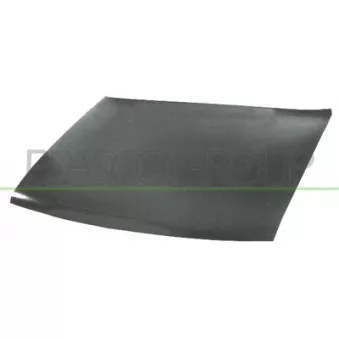 PRASCO VG0793100 - Capot-moteur
