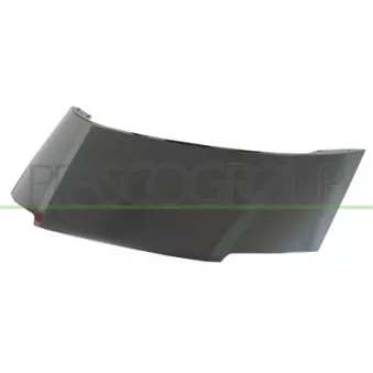 PRASCO VG0973100 - Capot-moteur
