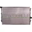PRASCO VG400R008 - Radiateur, refroidissement du moteur