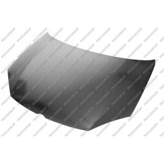 Capot-moteur PRASCO VG5203100