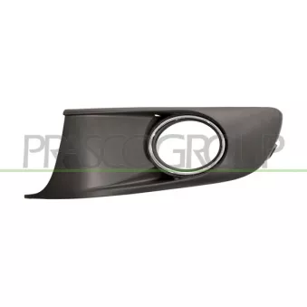 PRASCO VG7192134 - Grille de ventilation, pare-chocs