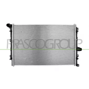 PRASCO VG807R001 - Radiateur, refroidissement du moteur