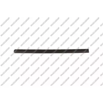 Baguette et bande protectrice, porte arrière droit PRASCO VG9041453
