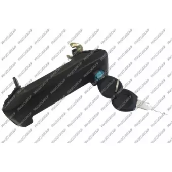 Poignée extérieure de porte PRASCO [VG9138141]