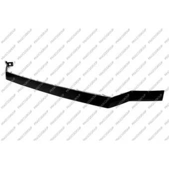 Baguette et bande protectrice, grille de radiateur PRASCO VG9542305