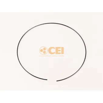 Circlip C.E.I. OEM 184492
