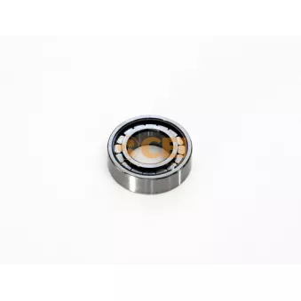 Support C.E.I. OEM 1404618