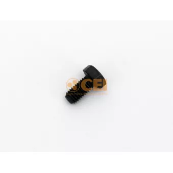 C.E.I. 187.998 - Vis