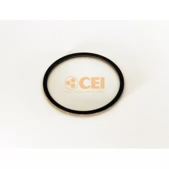 Bague d'étanchéité, différentiel C.E.I. 239.122