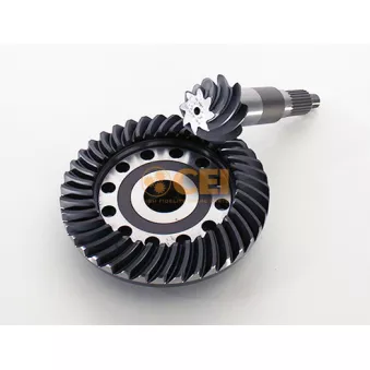 Couple conique/set pignons coniques C.E.I. 294.239