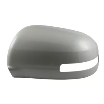 Revêtement, rétroviseur extérieur SPILU OEM 7632B412XA