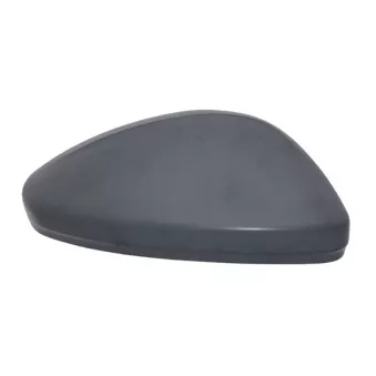 Revêtement, rétroviseur extérieur SPILU OEM 982620311T