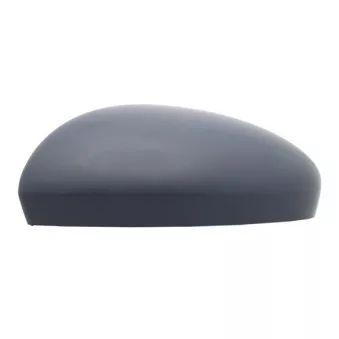 Revêtement, rétroviseur extérieur SPILU OEM 963735760R