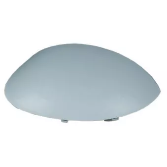 Revêtement, rétroviseur extérieur SPILU OEM 815243