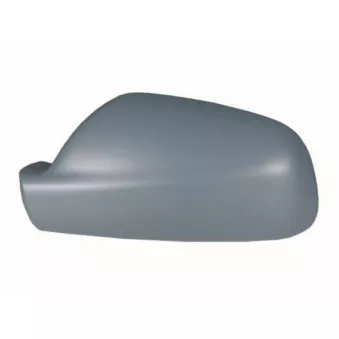Revêtement, rétroviseur extérieur SPILU OEM 815276