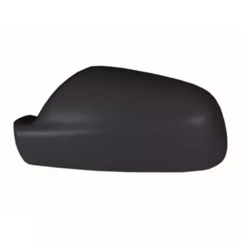 Revêtement, rétroviseur extérieur SPILU OEM 815259