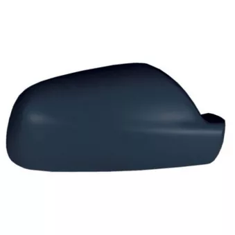 Revêtement, rétroviseur extérieur SPILU OEM 815260