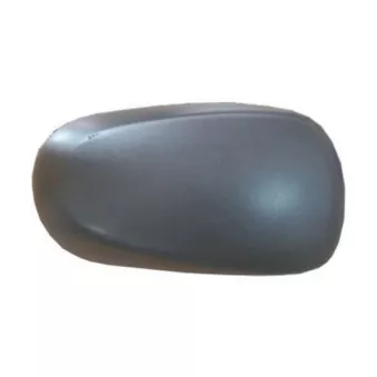 Revêtement, rétroviseur extérieur SPILU OEM 8200322659