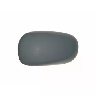 Revêtement, rétroviseur extérieur SPILU OEM 7701060076