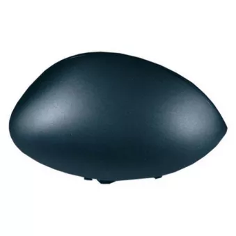 Revêtement, rétroviseur extérieur SPILU OEM 815269