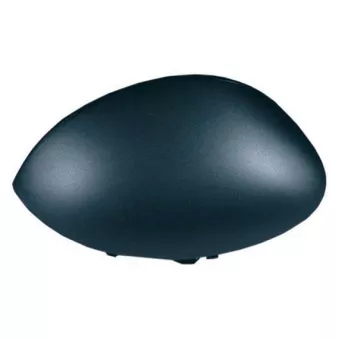 Revêtement, rétroviseur extérieur SPILU OEM 815241