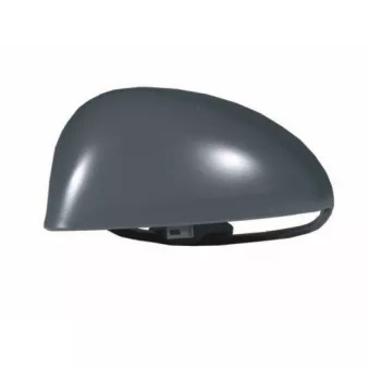 Revêtement, rétroviseur extérieur SPILU 54511