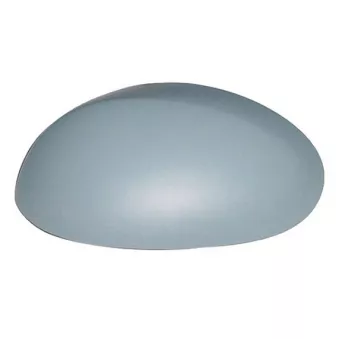Revêtement, rétroviseur extérieur SPILU OEM 815290