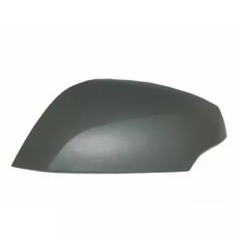 Revêtement, rétroviseur extérieur SPILU OEM 963730077R