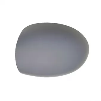 Revêtement, rétroviseur extérieur SPILU OEM 7701050159