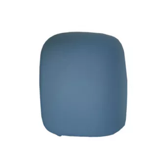 Revêtement, rétroviseur extérieur SPILU OEM 8152C3