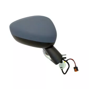 Rétroviseur extérieur SPILU OEM 1607024580