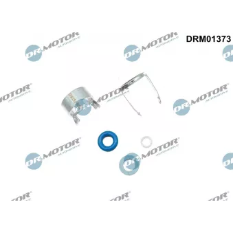 Kit de réparation, injecteur Dr.Motor DRM01373