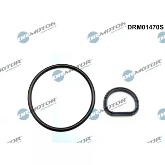 Kit de joints, purge carter vilebrequin Dr.Motor DRM01470S