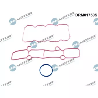 Dr.Motor DRM01750S - Jeu de joints d'étanchéité, collecteur d'admission