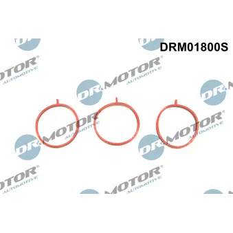 Dr.Motor DRM01800S - Jeu de joints d'étanchéité, collecteur d'admission
