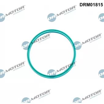 Dr.Motor DRM01815 - Bague d'étanchéité, gaine de suralimentation