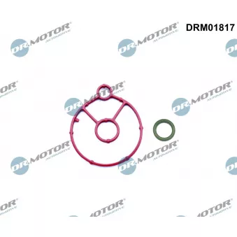 Dr.Motor DRM01817 - Kit de joints, radiateur d'huile