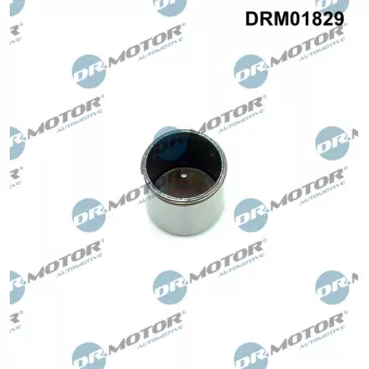 Pilon, Pompe à haute pression Dr.Motor DRM01829