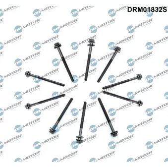 Dr.Motor DRM01832S - Jeu de boulons de culasse de cylindre