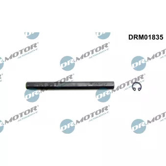 Dr.Motor DRM01835 - Arbre de transmission, pompe à huile